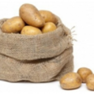 «Эффективное производство картофеля и овощей в условиях экономической нестабильности (кризиса)»