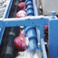 ТК 150 В капустоуборочный комбайн Аза Лифт- уборка кочанов на переработку (не на хранение). Ародирект Ародирект